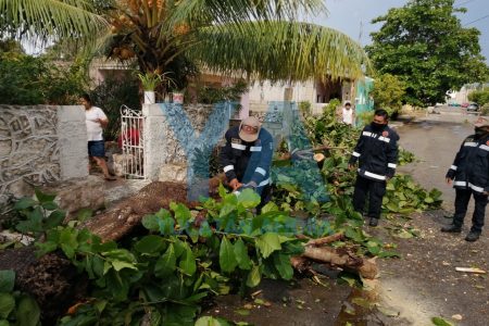 La tormenta eléctrica afectó el servicio de agua potable en Mérida
