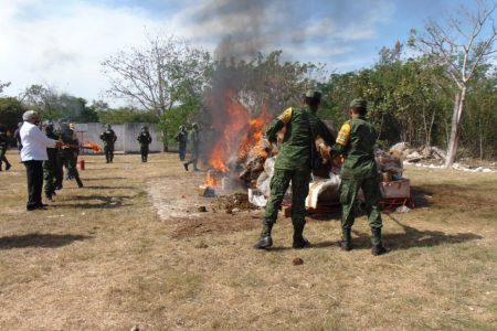 Incineran narcóticos decomisados en Yucatán
