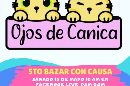 Invitan a bazar ‘Ojos de canica’, en apoyo a mascotas rescatadas
