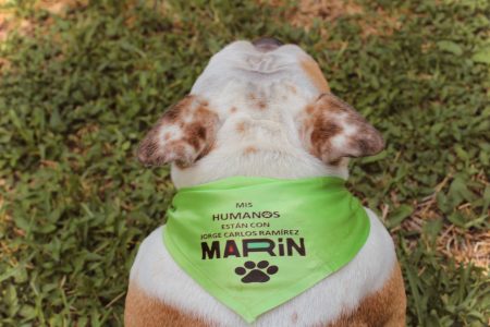 Mérida dará un cuidado de calidad a los animales: Ramírez Marín