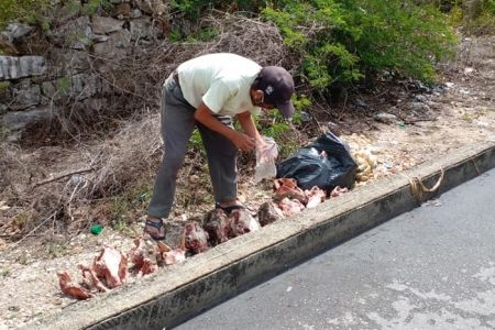 Denuncian presunta matanza de perros en Caucel: arrojan las cabezas al monte