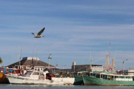 Fallece pescador de Progreso en altamar