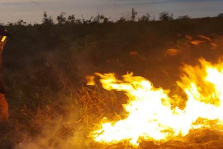 Con participación ciudadana, cerró sin novedades la temporada de incendios en Yucatán