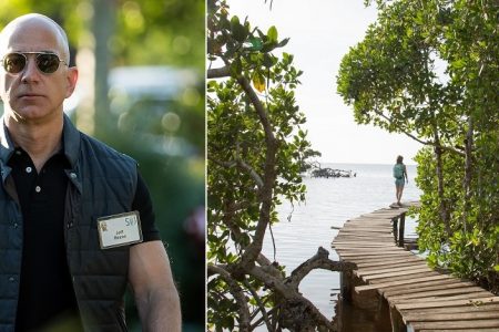 El millonario Jeff Bezos financiará la protección y restauración de manglares en Yucatán