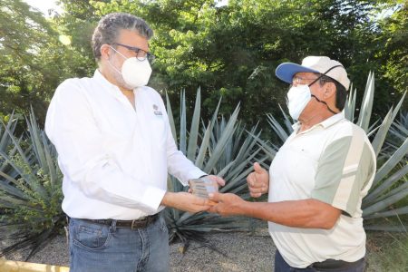 Mauricio Vila respalda a los apicultores yucatecos con la entrega de abejas reinas