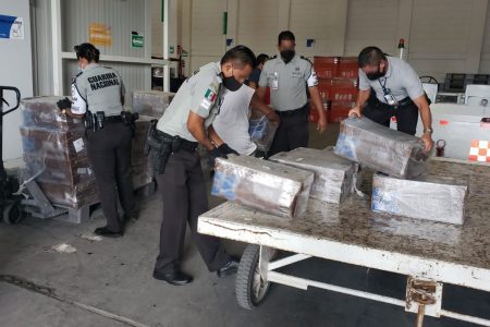 Interceptan pulpo con documentación alterada, en el aeropuerto de Mérida