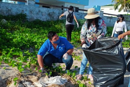 Realizan primera jornada de limpieza ‘Jóvenes por el Medio Ambiente’ en Progreso