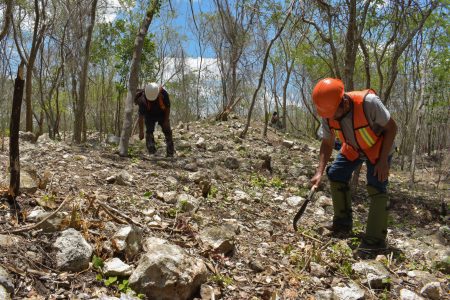 Comunidades yucatecas solicitan  intervención de la ONU ante presuntas anomalías del Tren Maya