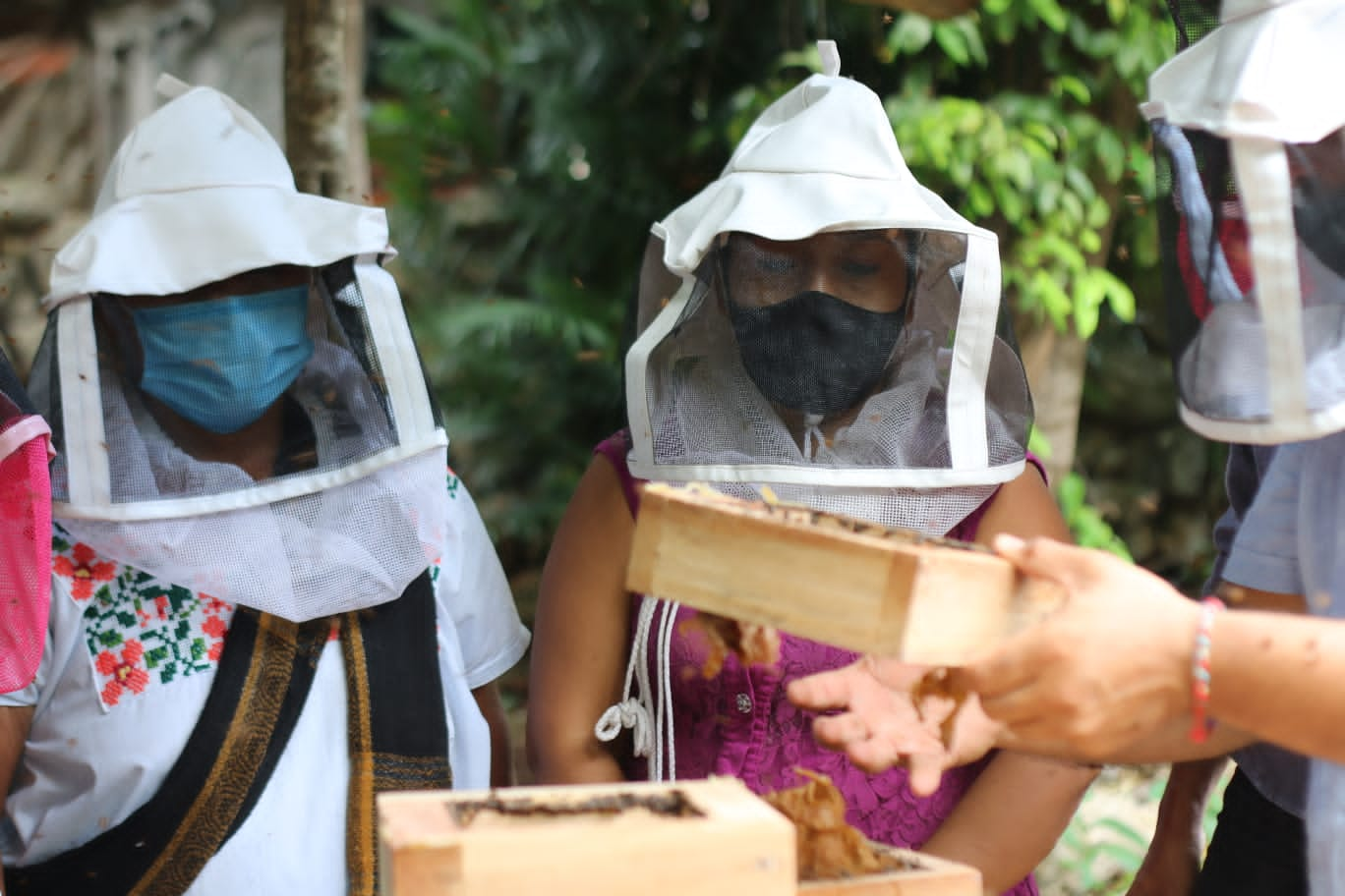 Semujeres Refrenda Compromiso Con Impulsar A Yucatecas En Comunidades Rurales Yucatan Ahora 4833