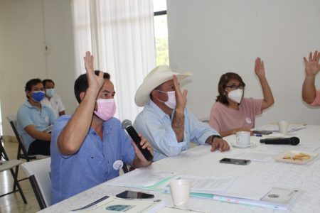 El ayuntamiento de Tizimín reporta ahorros de 11.5 millones de pesos en su primer mes