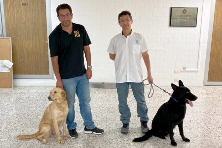 Perros detectores de Covid-19, herramienta rápida y segura: Cinvestav – Mérida