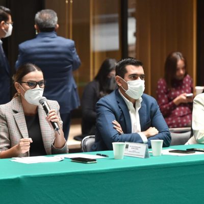 Ofrece Cecilia Patrón dar batalla a Reforma Eléctrica