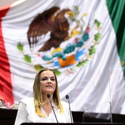 El PAN le ha sido útil a México: Cecilia Patrón