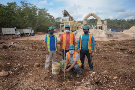 Tren Maya reforestará el banco de material en Sisbichén