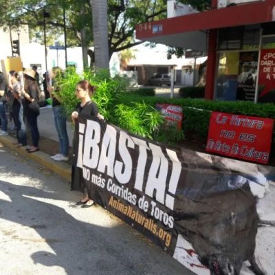 Activistas convocan a manifestación pacífica por corrida de toros en Mérida