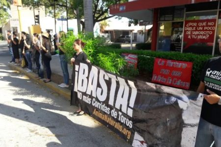 Activistas convocan a manifestación pacífica por corrida de toros en Mérida