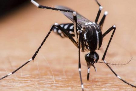 Por confusión, a Yucatán le quitan un confirmado de dengue, pertenecía a Oaxaca
