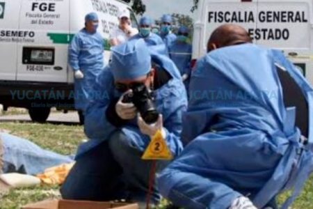 BCS y Yucatán sin asesinatos en noviembre