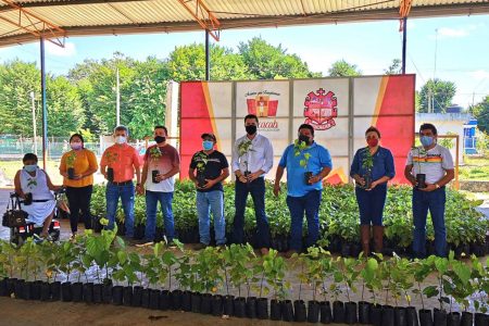 El Gobierno del Estado continúa consolidando la siembra de achiote como un recurso más para apoyar a productores yucatecos