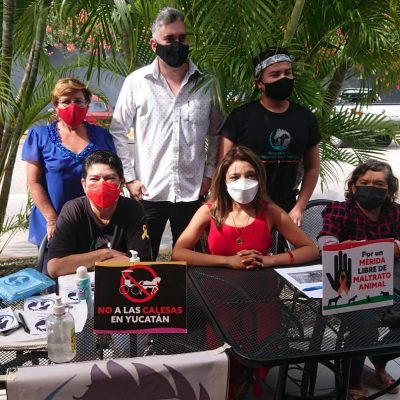 Activistas piden poner un alto al maltrato animal en Yucatán