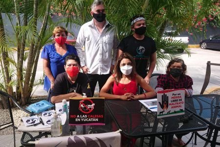 Activistas piden poner un alto al maltrato animal en Yucatán
