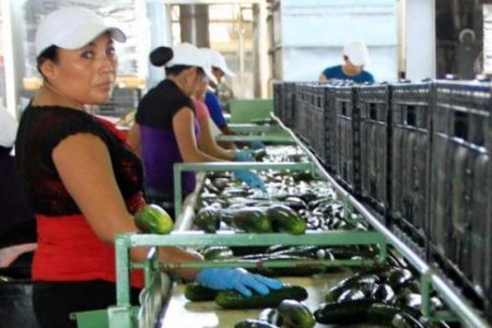 Ómicron torpedea la recuperación económica de Yucatán