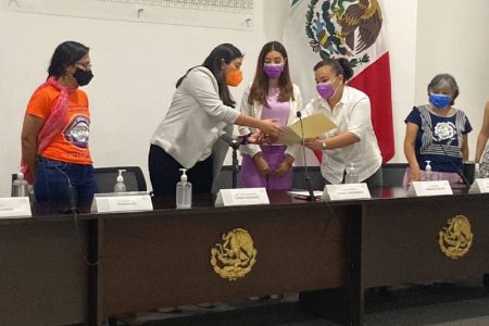Vamos por una #LeyVicaria en Yucatán: Vida Gómez