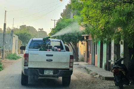 Anuncia SSY acciones de fumigación en el fraccionamiento Las Américas