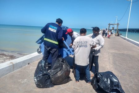 Playas limpias y seguras para los visitantes y habitantes de Progreso