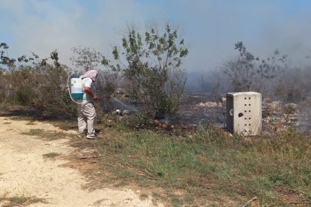 Personal de Protección Civil de Kanasín, de la Policía Municipal de Kanasín y del Cuerpo de Bomberos combaten en estos momentos un incendio en la colonia Gran San José.