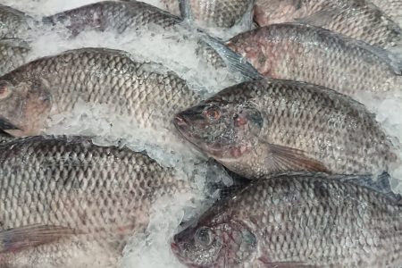 Reportan bajas ventas de pescados y mariscos en esta temporada de Semana Santa