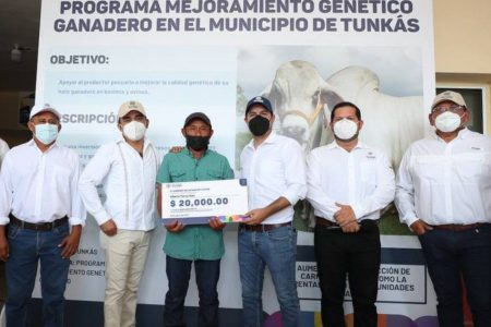 Fuerte impulso del Gobernador Mauricio Vila Dosal la actividad apícola de Yucatán