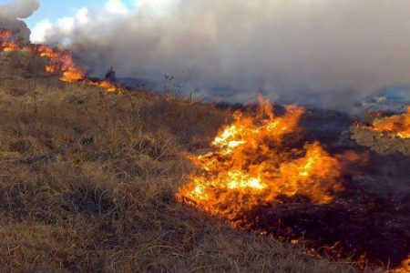 Siete incendios forestales afectaron la Península de Yucatán, consumieron 343.28 has