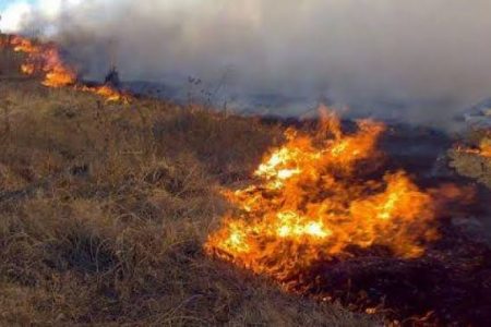 Yucatán, sin incendios forestales desde hace dos semanas