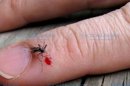 En estudio, posible defunción por dengue registrado en Yucatán