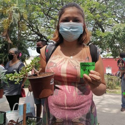 Invitan a la Tercera edición del Bazar “Trueques, Intercambios y Venta de Plantas y Esquejes Mérida”, en el Parque de la Mejorada