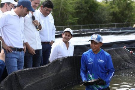Con apoyo del Gobernador Mauricio Vila, proyectos de acuacultura para producción de tilapia se consolidan en el oriente de Yucatán