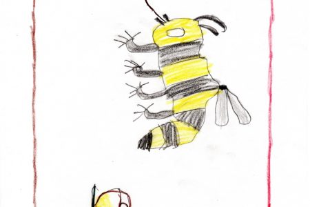 Invitan al Tercer Concurso Estatal de Dibujo Infantil “Las abejas nativas y mi comunidad”