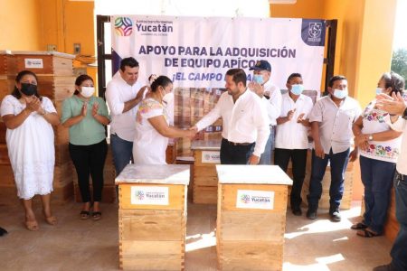 Apoyo del Gobernador Mauricio Vila Dosal llega a los apicultores de Chocholá