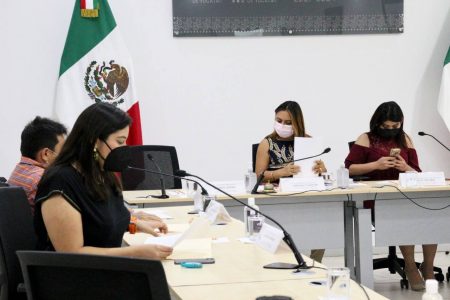 <em>Movimiento Ciudadano rechaza aumentar el número de diputados en Yucatán</em>