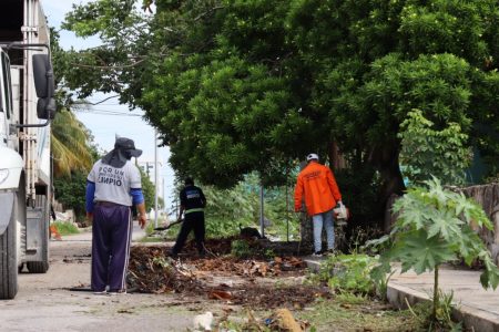 Recolectan más de 16 toneladas de basura en calles de Chicxulub Puerto
