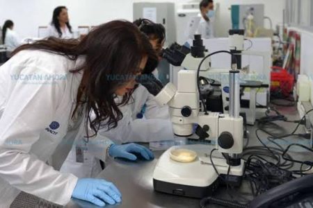 Península de Yucatán cuenta con mil 200 científicos