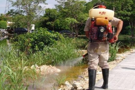 A la alza el dengue en Yucatán; ya se superó lo registrado en 2020 y 2021
