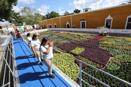 El Gobernador Mauricio Vila Dosal invita a visitar los 4 Paseos Navideños de las Flores y ganar un premio