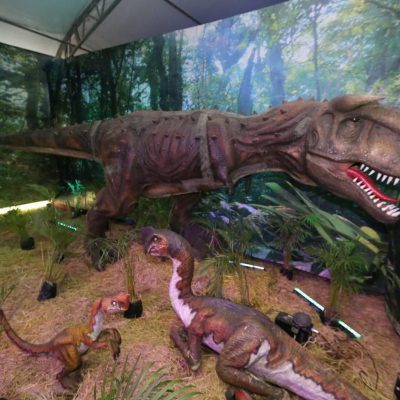 Familias del oriente del estado disfrutan de la “Expo Dinosaurios”
