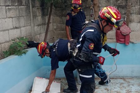 Elementos del Cuerpo de Bomberos rescatan a perro que cayó dentro de un pozo en Kanasín