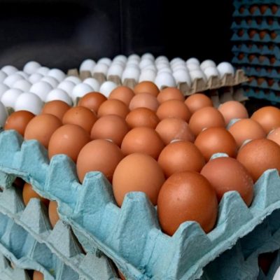 Comerciantes y tenderos reclaman desabasto de huevo