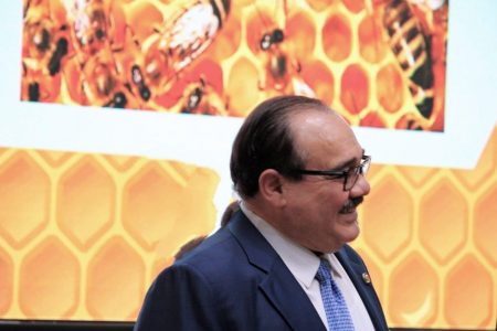 Ejecutivo y Legislativo crearán grupo para proteger a las abejas: Ramírez Marín