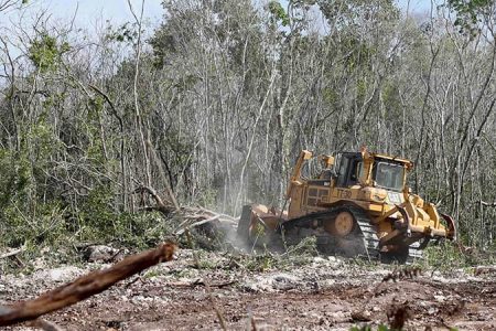 Ambientalistas de Quintana Roo harán un plantón ante Juzgados Federales por obras del tren