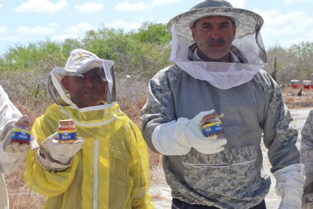 Presentan la miel de mangle, un nuevo producto hecho 100% en Progreso